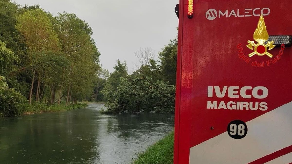 Maltempo, cade albero nel Milanese: una morta, due feriti