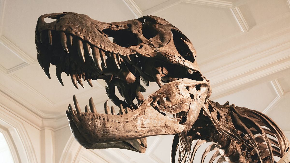 Dinozorların yanakları vardı: keşif