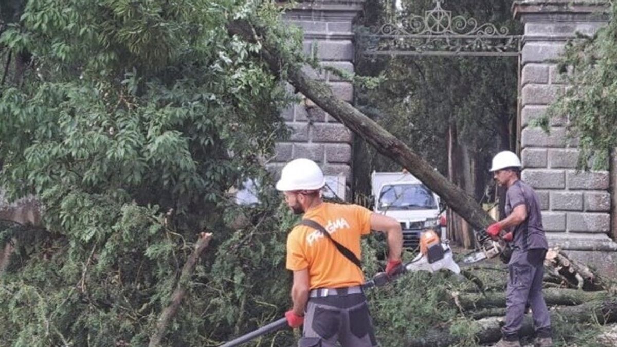 Maltempo al Centro Italia: in Toscana 27mila fulmini in 12 ore | Frane, allagamenti e alberi caduti in Umbria