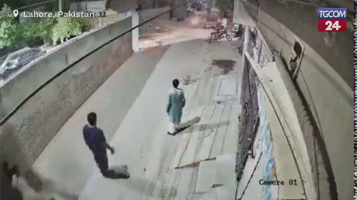 Pakistan, leone domestico in fuga semina il panico a Lahore: feriti lievi tra i passanti