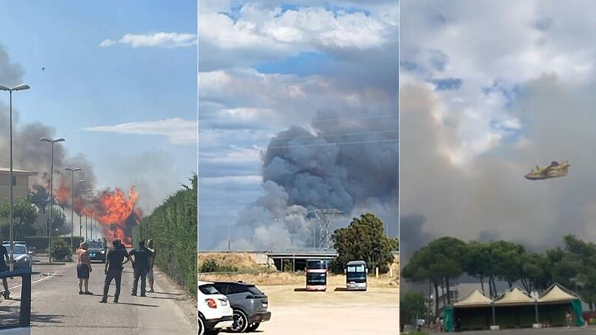 Basilicata, vasto incendio a Metaponoto: turisti evacuati via mare | Intossicato un bambino di otto mesi