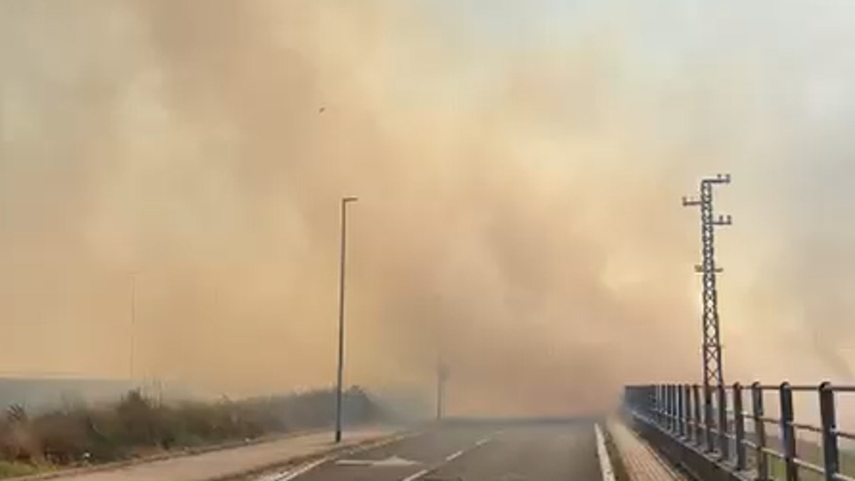 Nuovo maxi incendio di sterpaglie nella zona di Fiumicino, "è doloso"