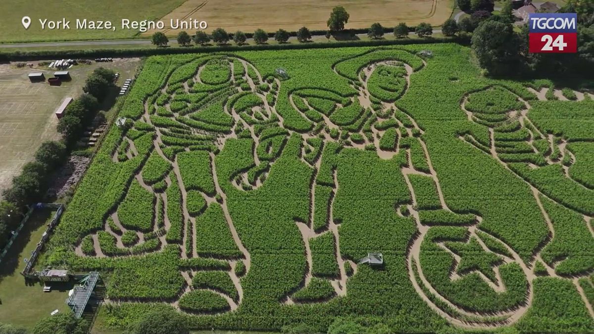 Un labirinto di mais per celebrare i 30 anni di Toy Story