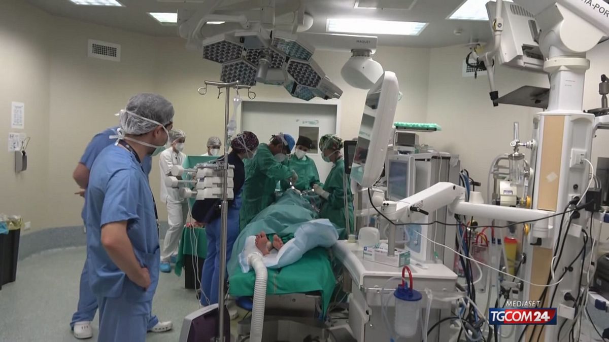 Ensemble d'instruments de base pour la chirurgie plastique | New Med