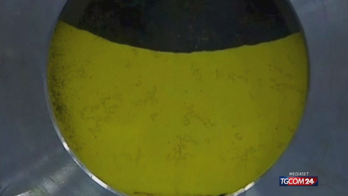 Iran, la saga dell