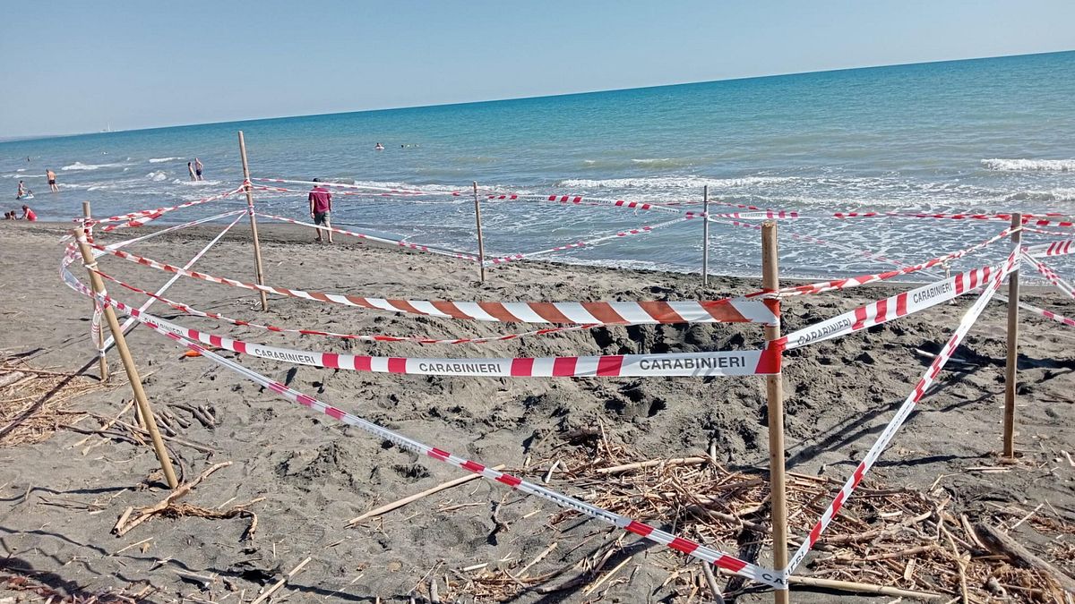 Montalto, Riccardo muore sepolto nella sabbia: il padre è indagato per omicidio colposo