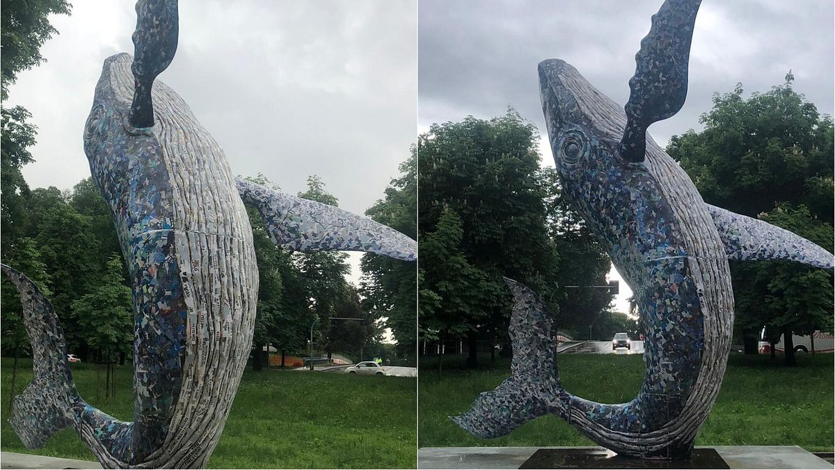 milano bruciata la balena di cartapesta di jacopo allegrucci alla triennale caccia al piromane