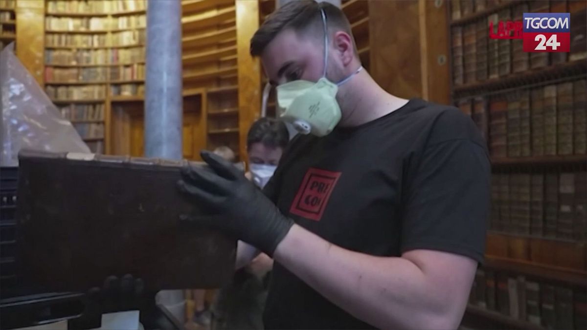ungheria 100mila libri secolari rovinati dallo scarafaggio delle farmacie