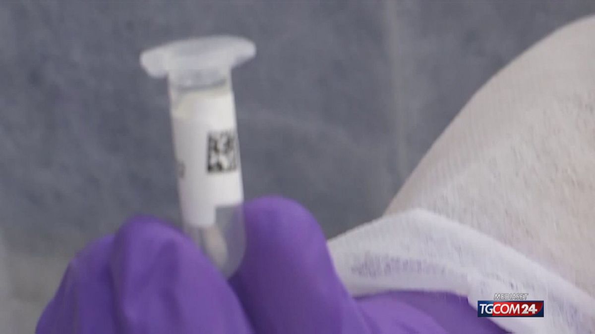 garlasco sul tampone orale di chiara poggi c 232 il dna di ignoto 3