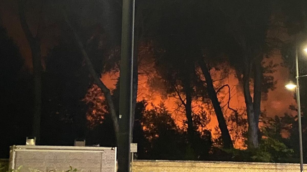 incendio nella pineta dannunziana a pescara il sindaco per un attimo ho rivissuto l incubo del 2021