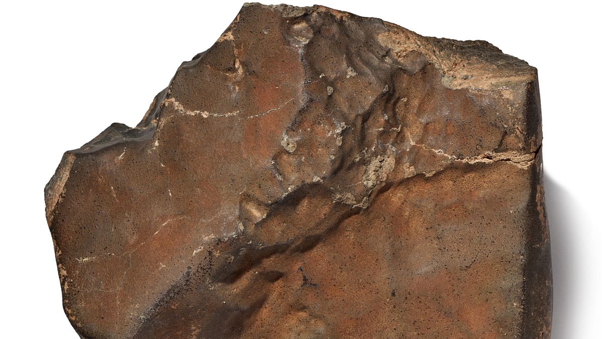 New York, all'asta il più grande meteorite marziano caduto sulla Terra