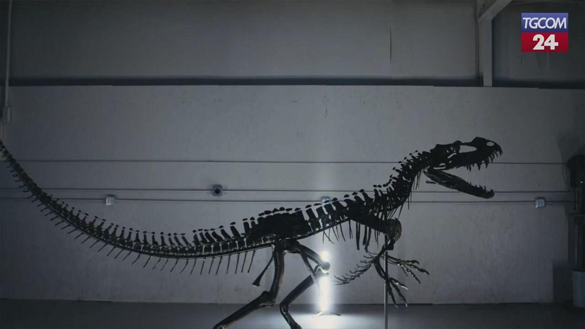 New York, scheletro di dinosauro venduto per 30 milioni di dollari