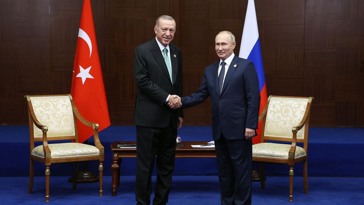 Colloquio telefonico fra Erdogan e Putin | Il leader del Cremlino: "Impegno a trovare soluzione politica al conflitto in Ucraina"