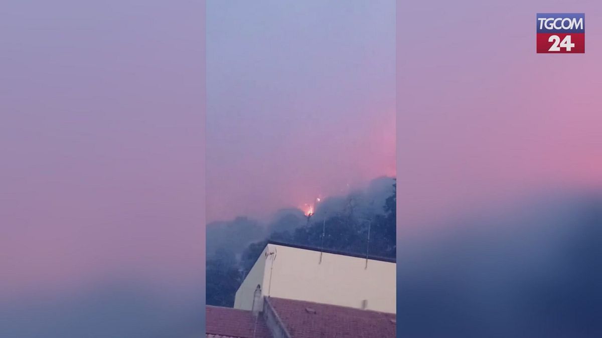 nuovo incendio a san giovanni rotondo canadair in azione