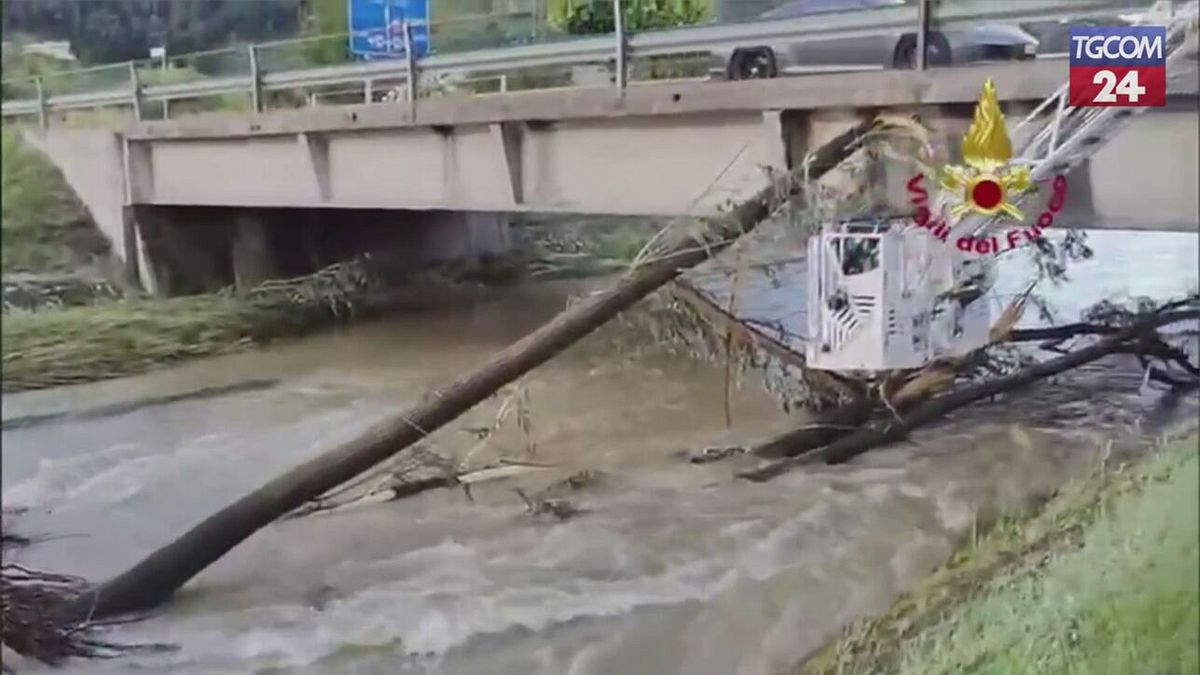 Maltempo, allagamenti e alberi caduti nel Trevigiano