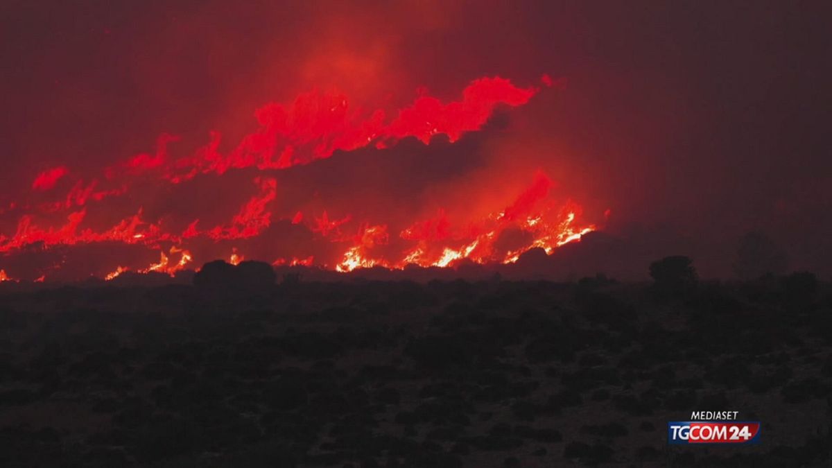 incendi nel trapanese brucia la riserva naturale del monte cofano
