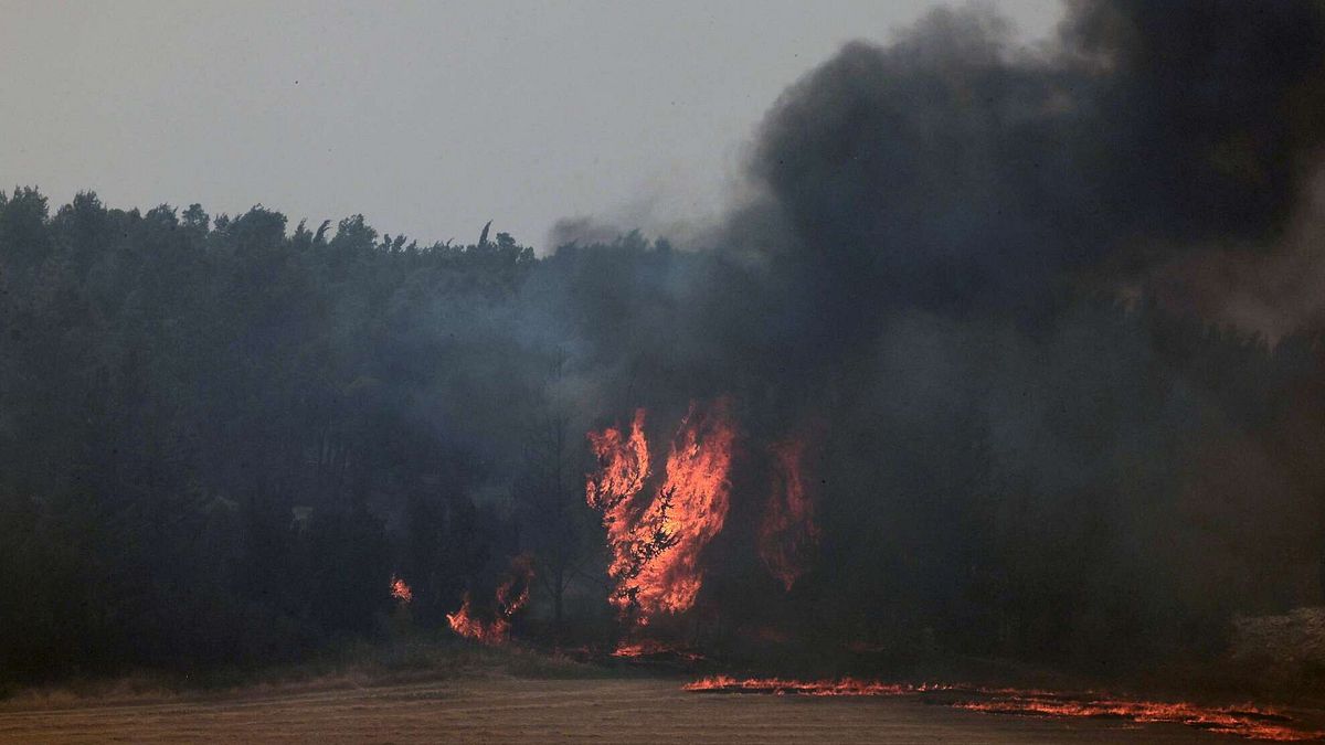 allarme incendi in italia in sette mesi andati in fumo oltre 30mila ettari
