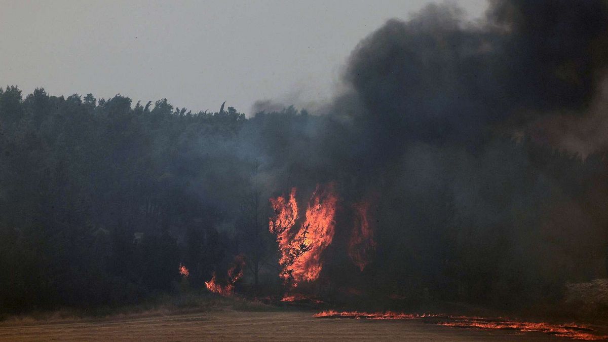 allarme incendi in italia in sette mesi andati in fumo oltre 30mila ettari