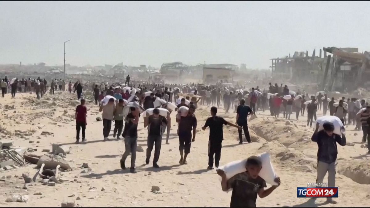 Gaza, lettera aperta di ex ambasciatori a Meloni: "Riconosca la Palestina"
