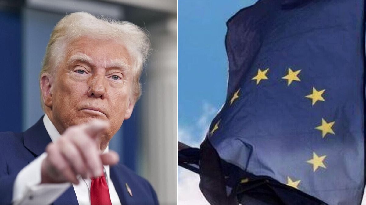 dazi merz insoddisfatto dall accordo danni alla nostra economia ue nessun impegno con gli usa su web tax e big tech