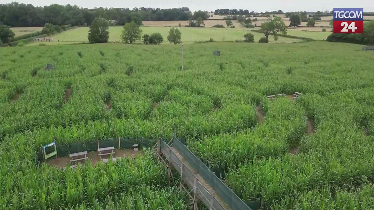 regno unito nel leicestershire un labirinto per celebrare i 200 anni della ferrovia moderna