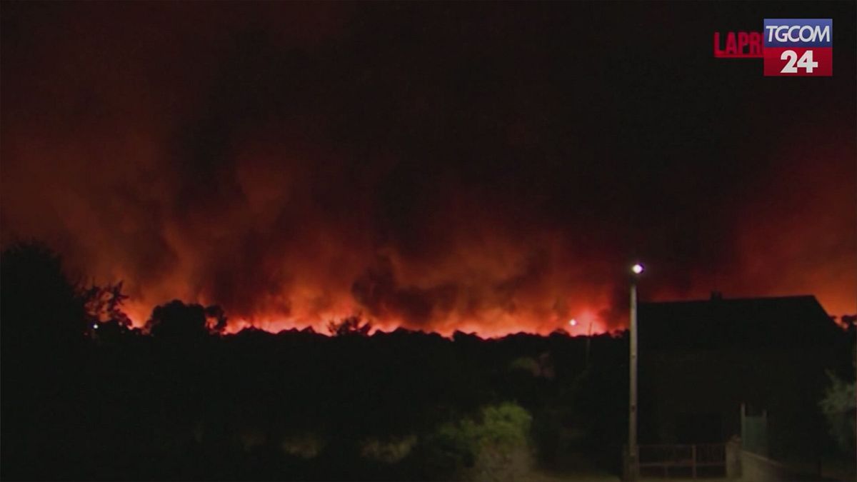 incendi in portogallo i boschi bruciano oltre 2mila vigili del fuoco in azione