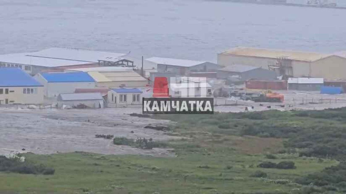 Mega terremoto in Russia scatena tsunami in tutto il Pacifico: i video social