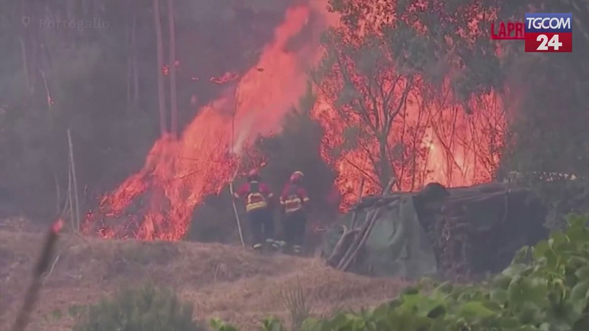 portogallo incendi boschivi infiammano da giorni il paese vigili del fuoco al lavoro