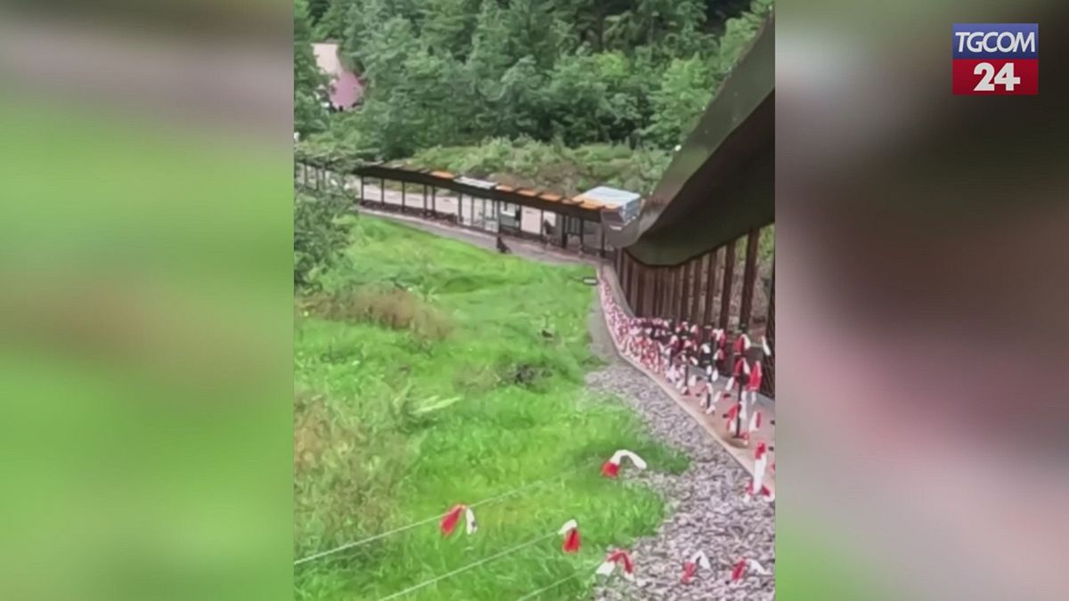 Orsa JJ4 için yeni hayat Almanya'dan başlıyor