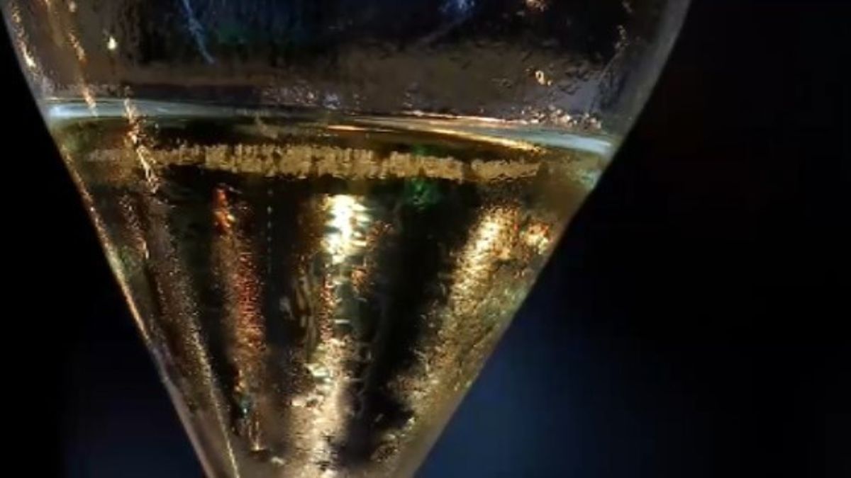 treviso esche al gusto di prosecco contro i topi