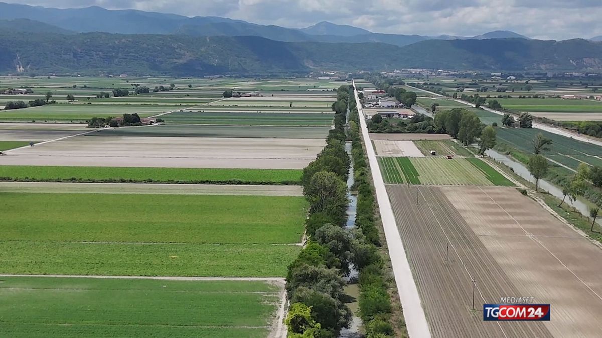 crisi idrica nel fucino pesci morti nei canali e campi a secco