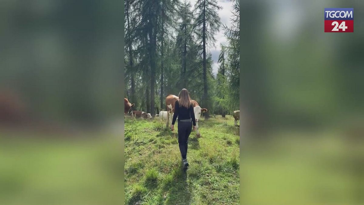 ilary blasi vacanze in montagna tra natura relax e mucche