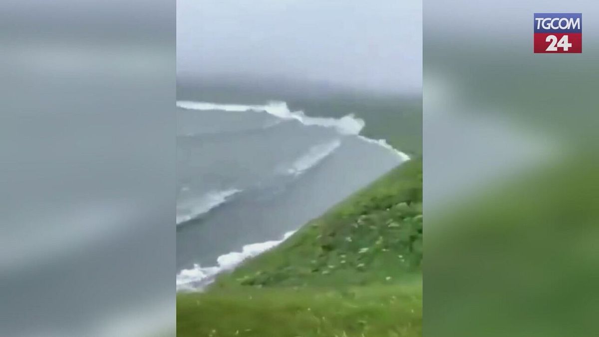 terremoto in russia tsunami alle isole curili il cane si salva per un pelo