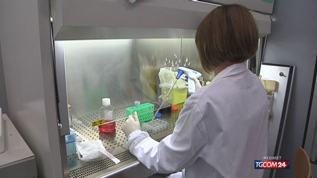 west nile il virus colpisce anche il nord