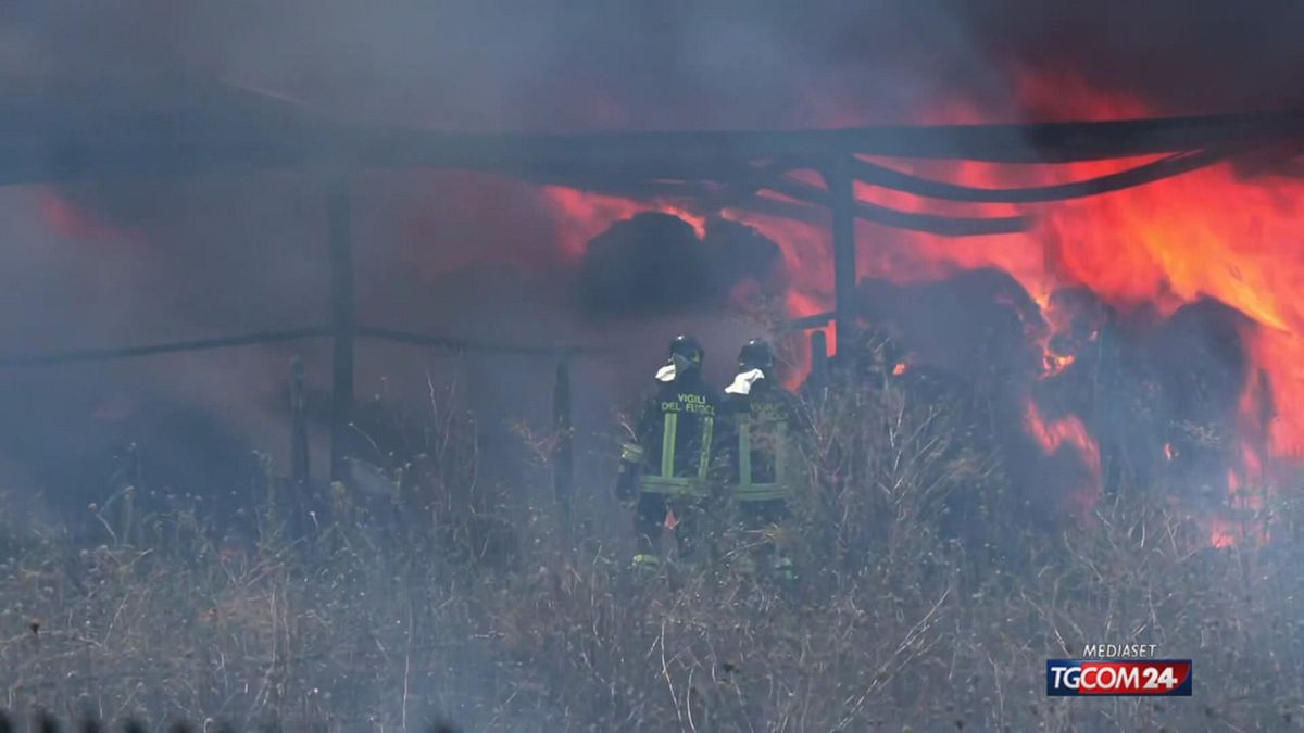 italia a fuoco da nord a sud spesso si tratta di incendi dolosi