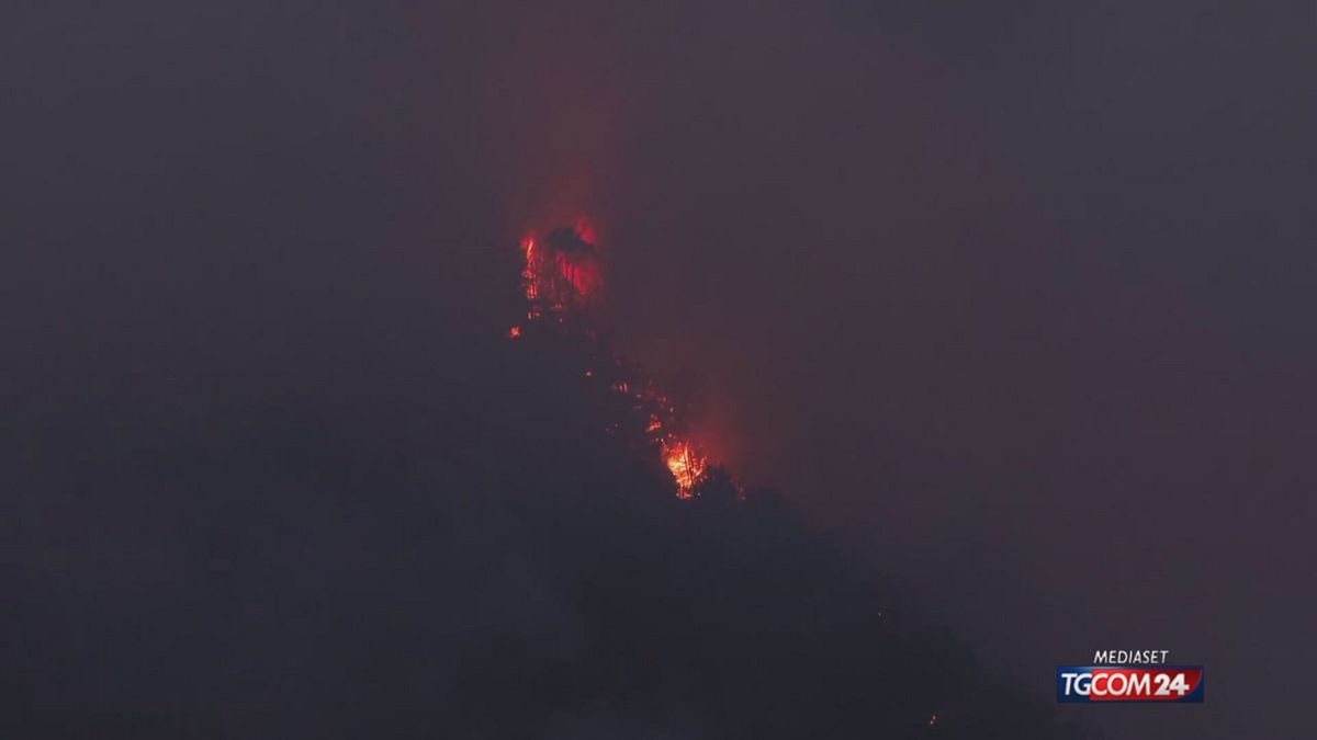 fiamme sulle pendici del vesuvio bruciati 200 ettari di terreno