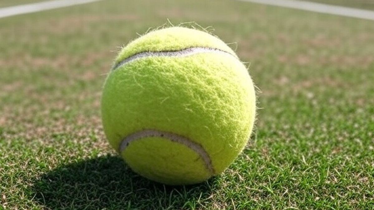 Disturbare i tennisti per orientare le scommesse clandestine: la procura di Roma indaga sul russo Medkov
