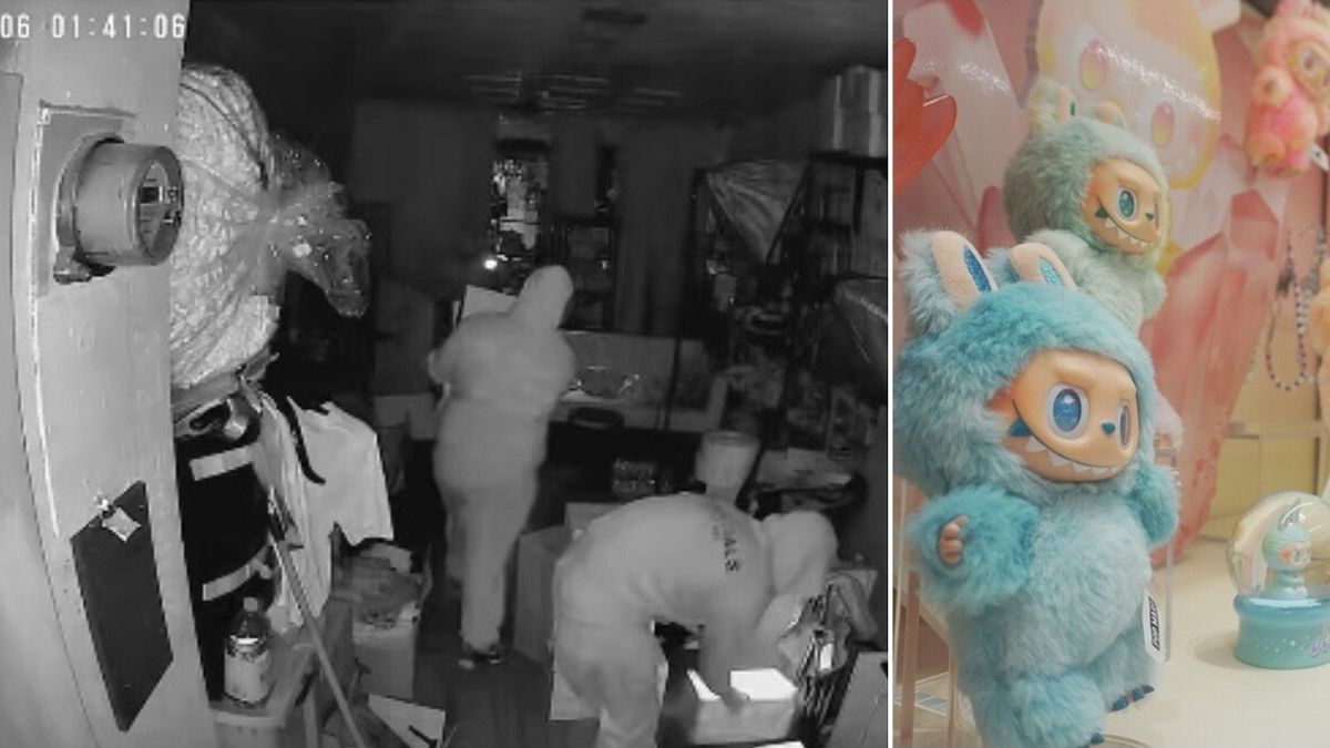 Los Angeles, in un negozio di giocattoli maxifurto di Labubu