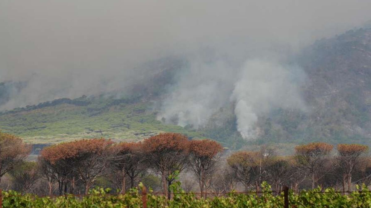 incendio sul vesuvio la procura di nola apre un fascicolo senza indagati