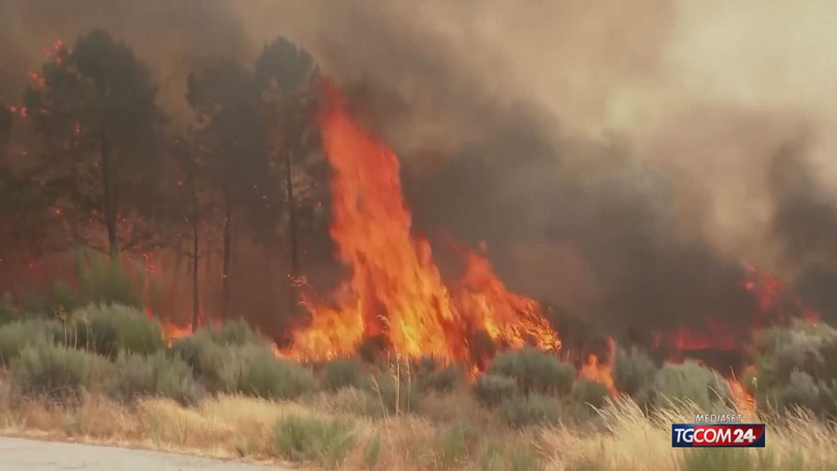 il mediterraneo brucia fiamme dalla spagna alla grecia