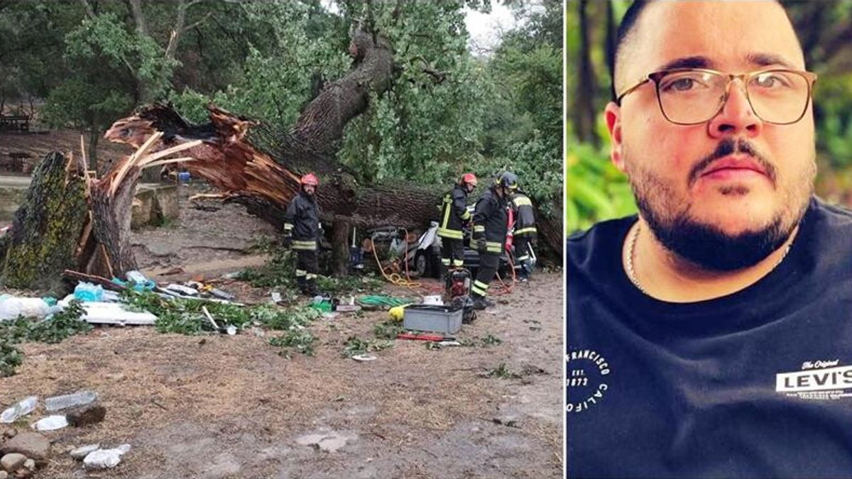 matera albero cade su un auto morto un 29enne tre feriti