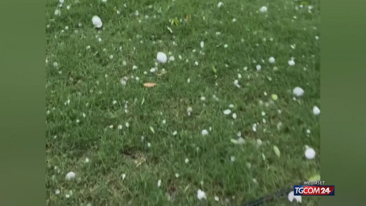 maltempo i danni di piogge e grandine sulle colture