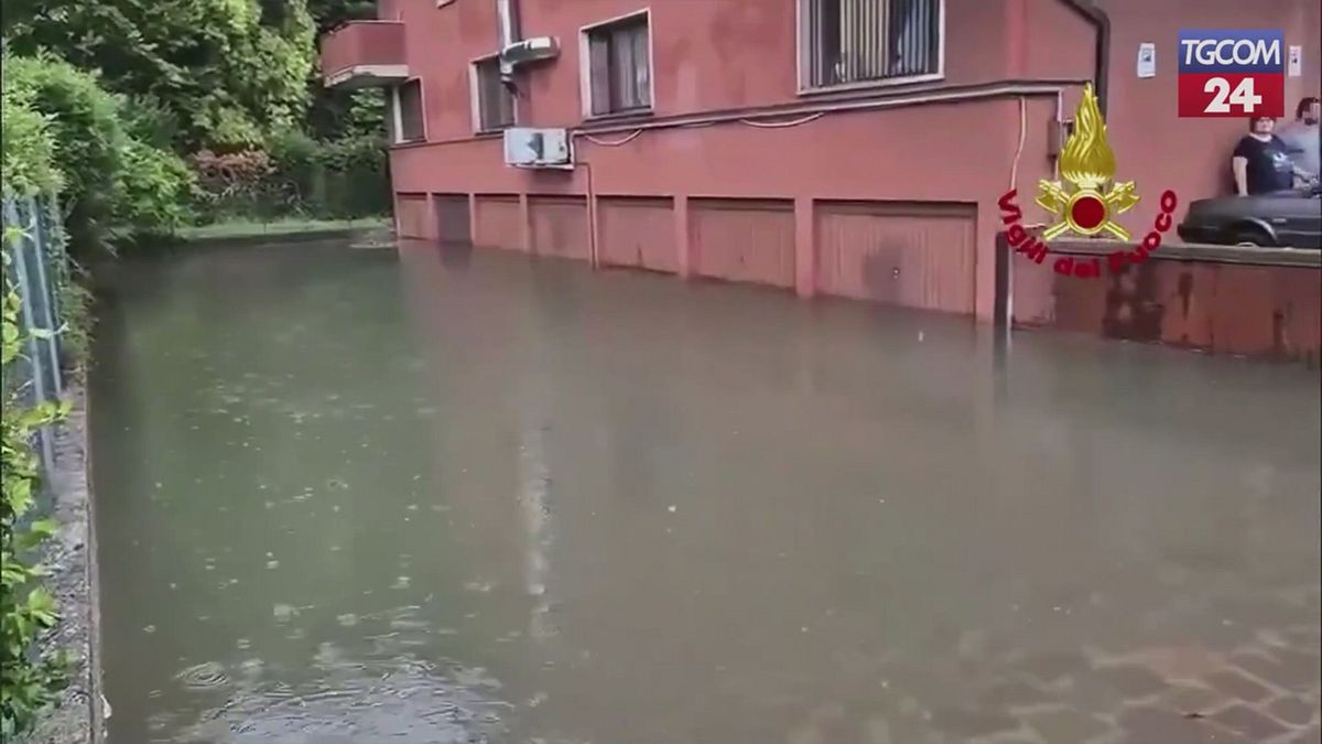 Maltempo in Veneto, allagamenti e alberi caduti nel Padovano