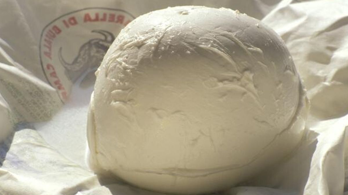 Ministero della Salute: ritirati 5 lotti di mozzarelle per la possibile presenza di corpi metallici