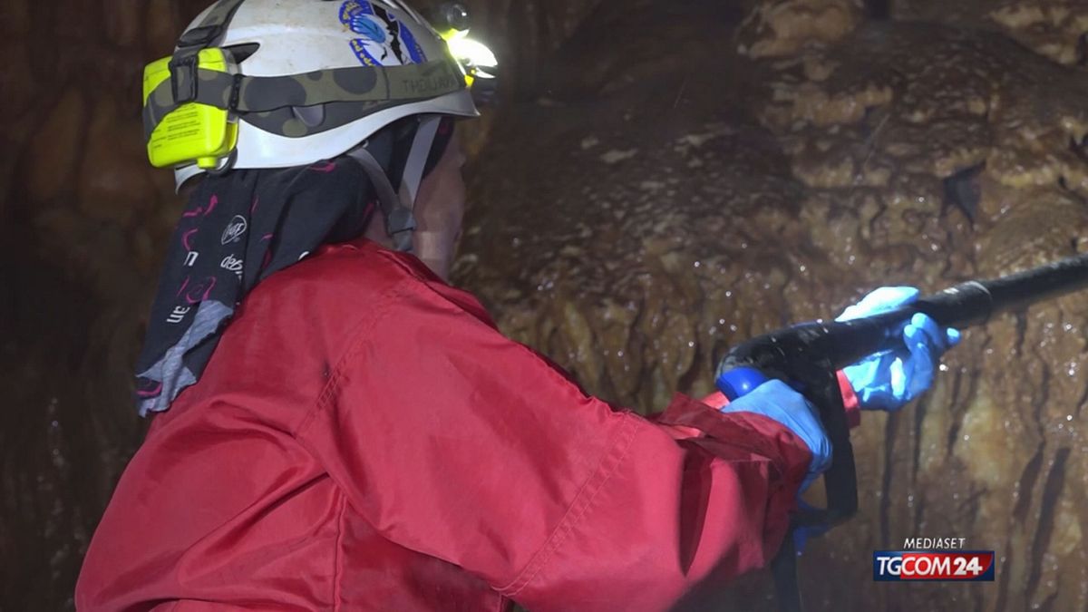 Castellana Grotte, gli speleologi pulitori "sbiancano" le cavità