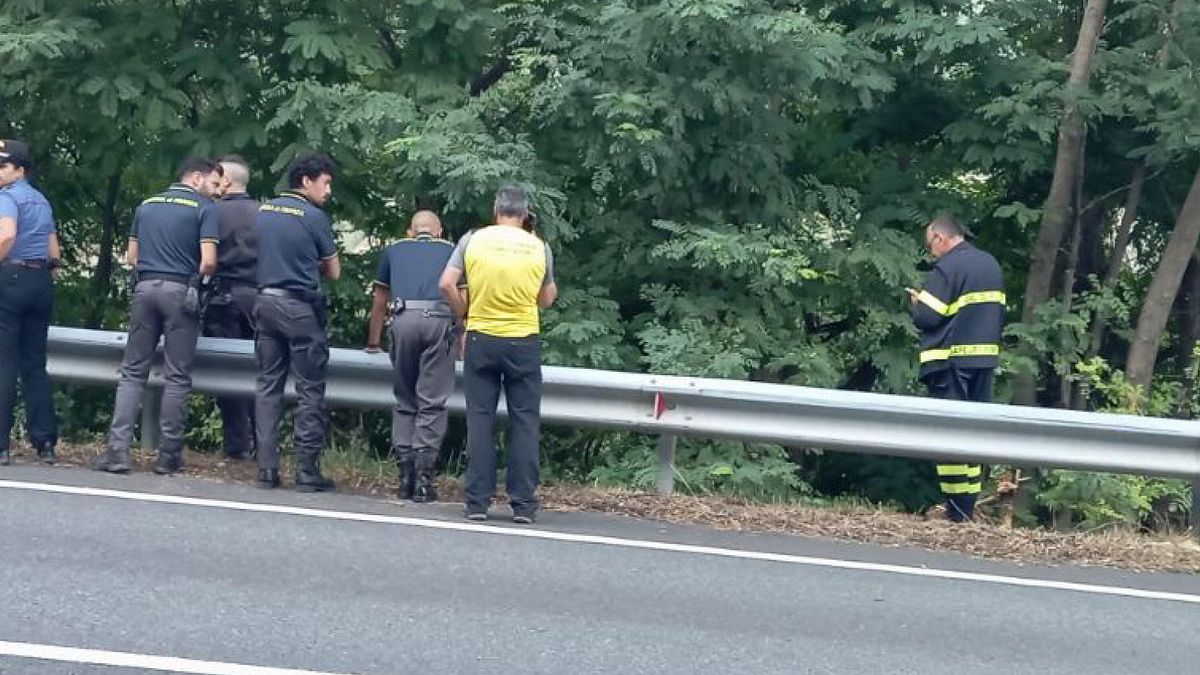 Gignod (Aosta), ritrovata la 16enne scomparsa: salvata dal cane eroe "Teo", era in una scarpata
