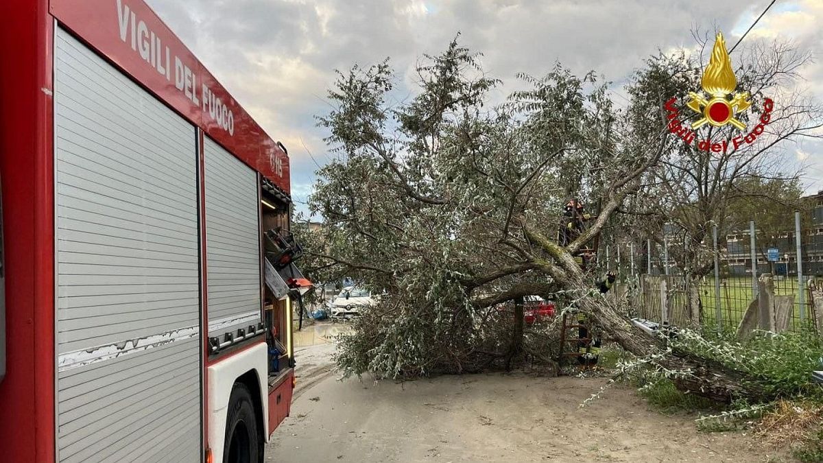 Forte temporale sulla Romagna, grandine e allagamenti: colpite le zone di Ravenna e di Rimini | Il sindaco di Cervia: "Massima attenzione negli spostamenti"