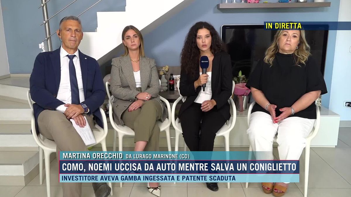 Travolta mentre soccorreva un animale, lo sfogo della mamma: "Cosa deve fare una persona per rimanere in carcere?"