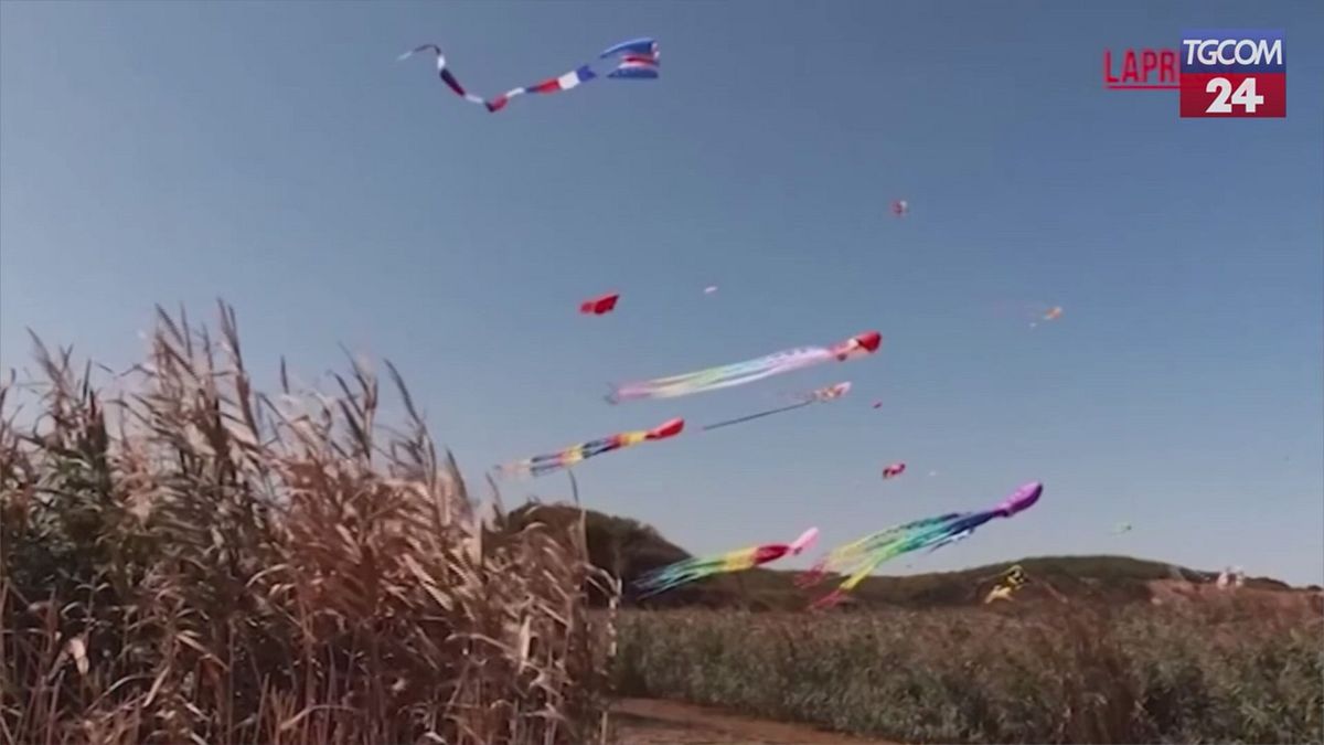 Bulgaria, sul Mar Nero lo spettacolo del festival degli aquiloni