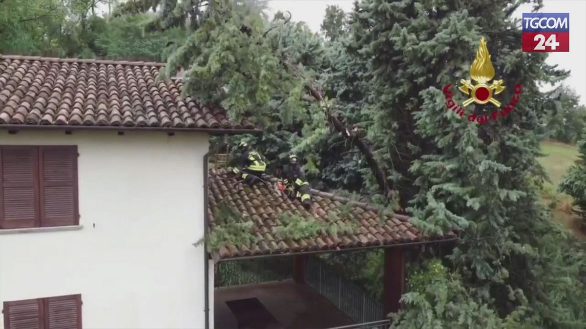 pavia rami minacciano abitazioni dopo il maltempo l intervento dei vigili del fuoco